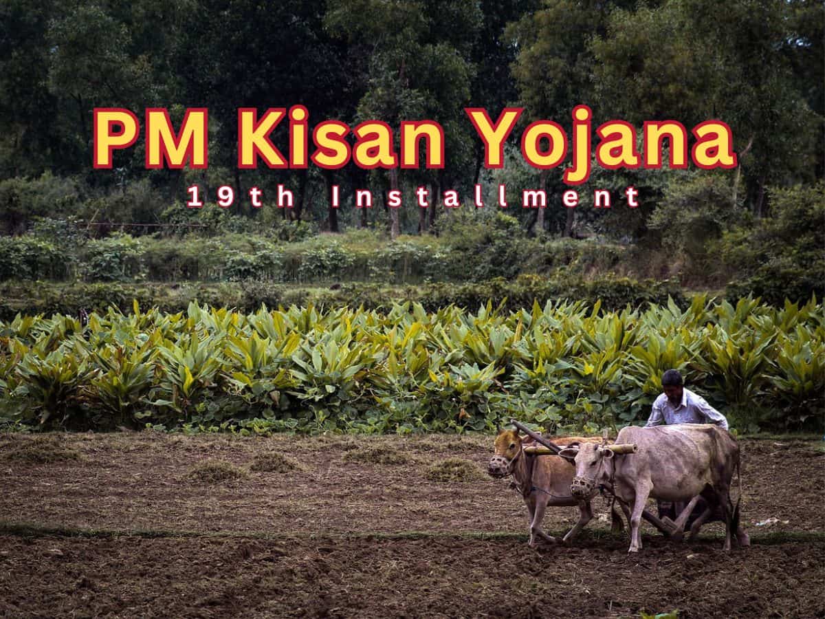PM Kisan Yojana 19th Instalment: What farmers need to do before January 31?