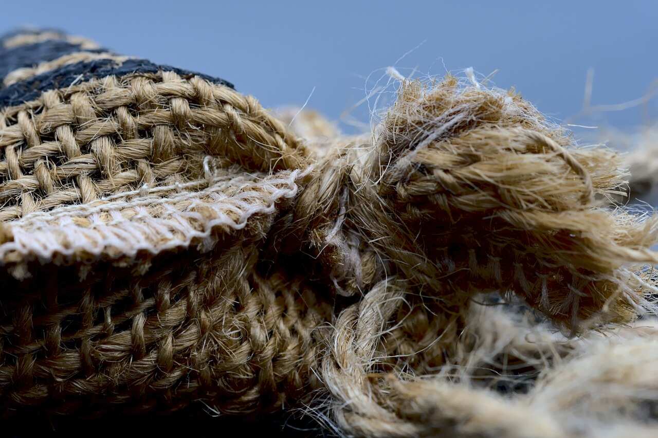 Government raises raw jute MSP by 6% to Rs 5,650 per quintal 