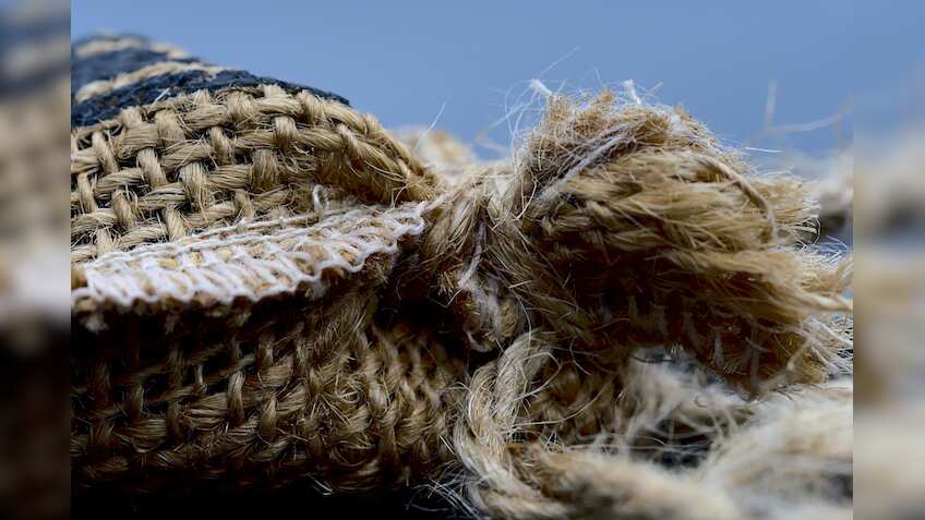 Government raises raw jute MSP by 6% to Rs 5,650 per quintal 