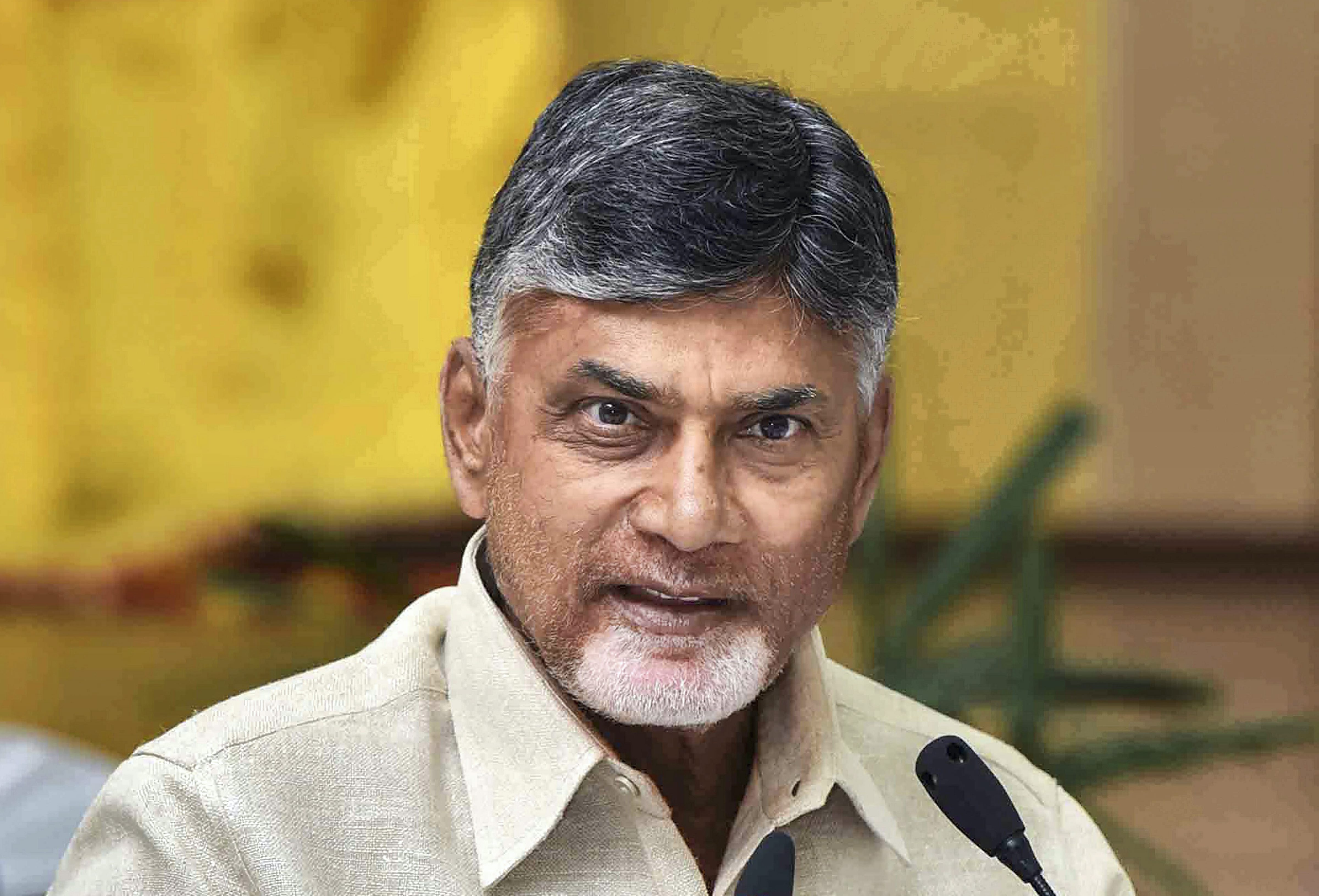 CM N Chandrababu Naidu urges Google to set up chip design, manufacturing unit in Visakhapatnam