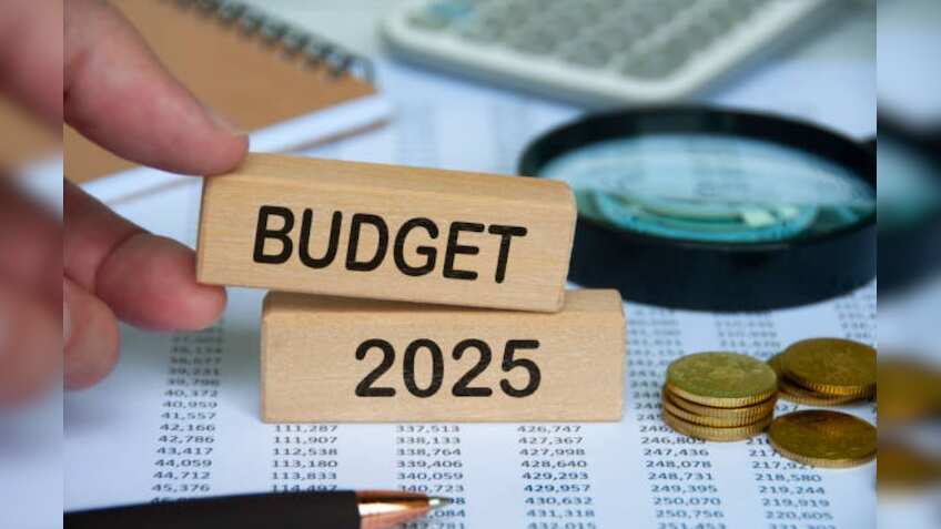 Budget 2025: Tech industry bats for deeptech fund, tweaks in safe harbour rules' threshold