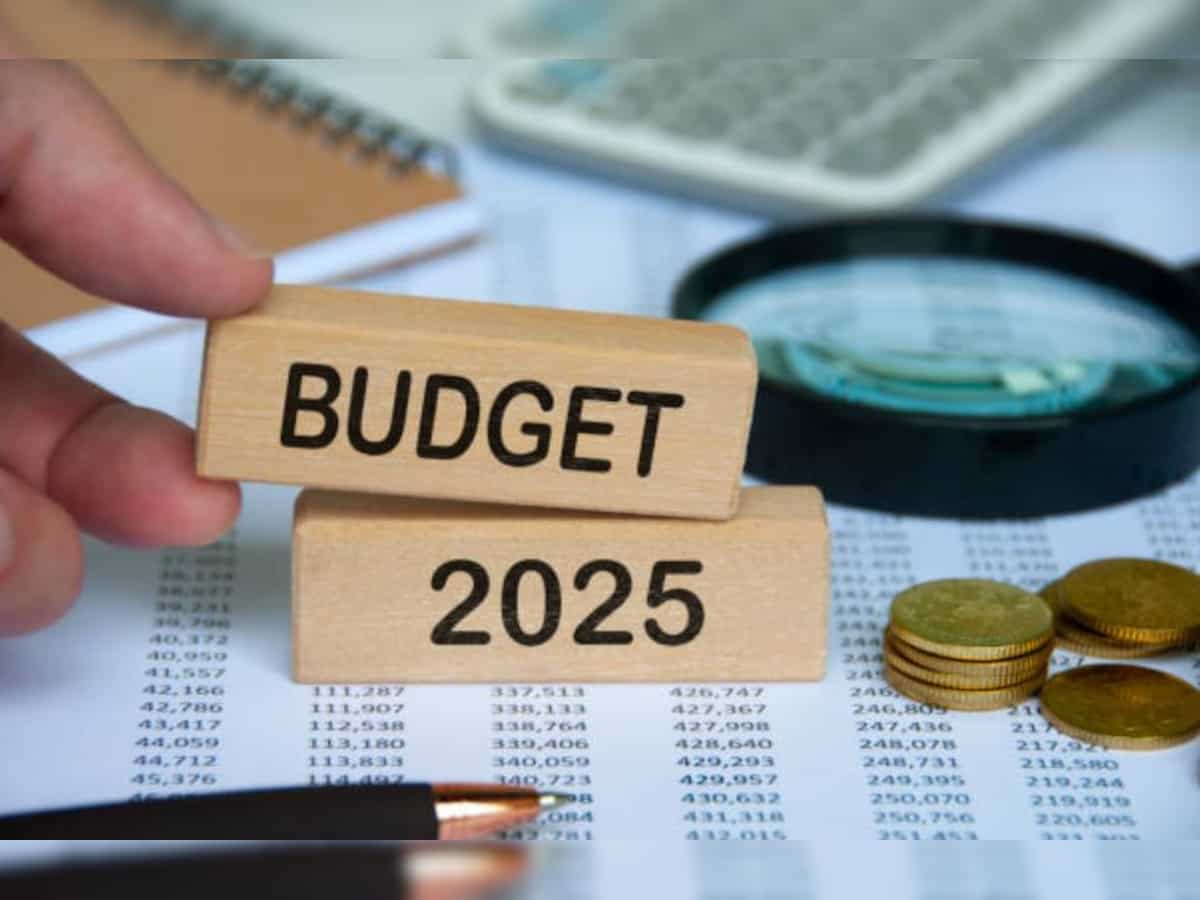 Budget 2025 Tech industry bats for deeptech fund, tweaks in safe