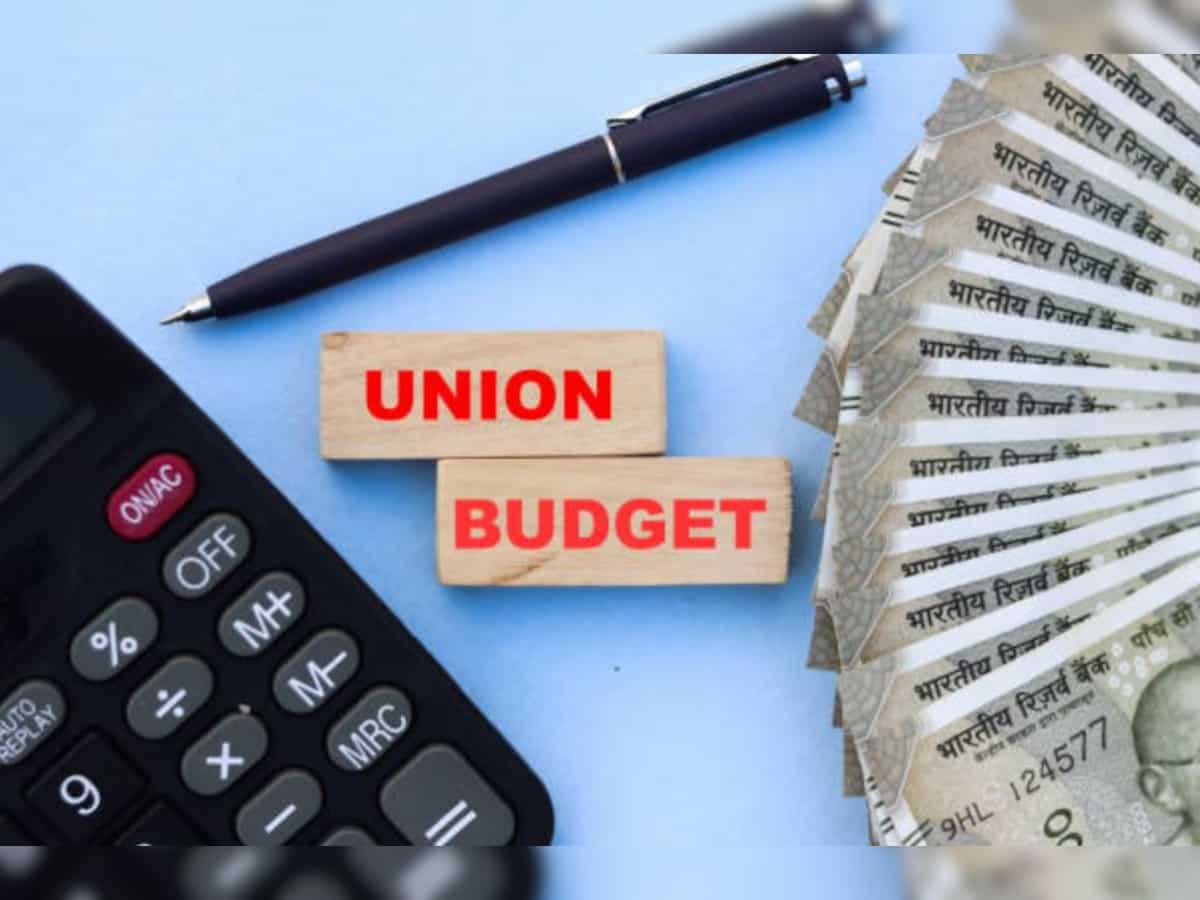 Union Budget 2025: CP Gurnani calls for more allocation on skilling, computing infrastructure