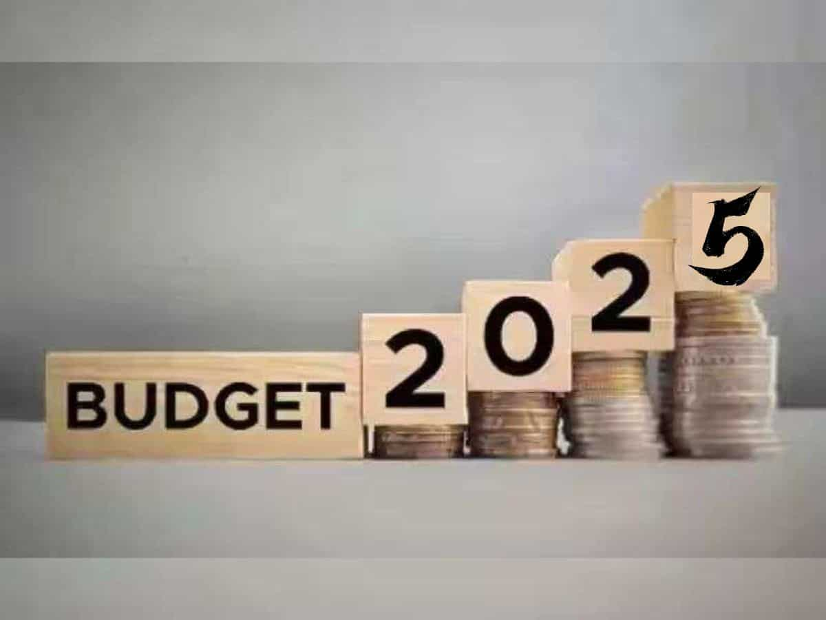 Budget 2025 Expectations: Industry body CII hopeful for steps to augment investment, consumption demand