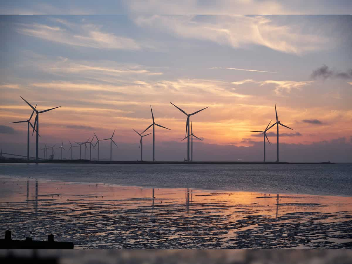 Budget 2025 Economists seek boost for renewable energy to increase