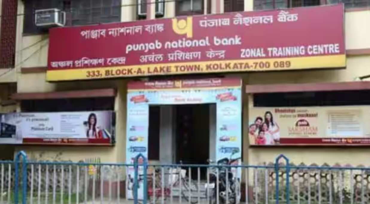 PNB Q3FY25 Results: PSU bank's profit more than doubles to Rs 4,508 crore