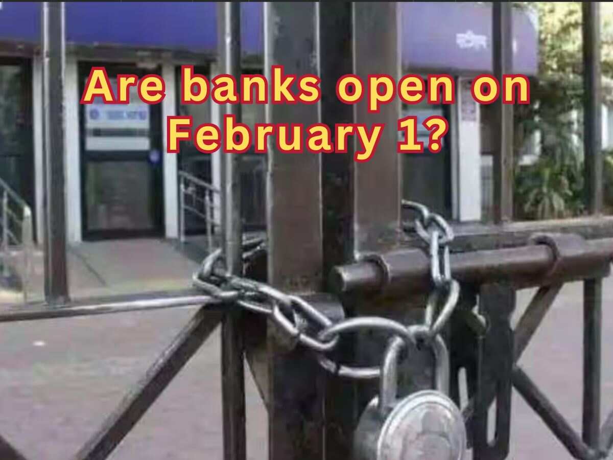Budget 2025: Are banks open on February 1? Check out complete list of February holidays