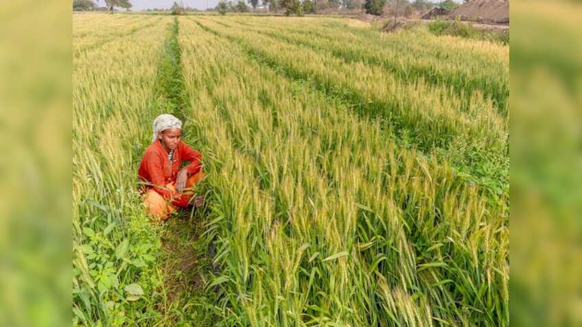 Budget 2025: Government announces PM Dhan-Dhaanya Krishi Yojana, to benefit 1.7 crore farmers 