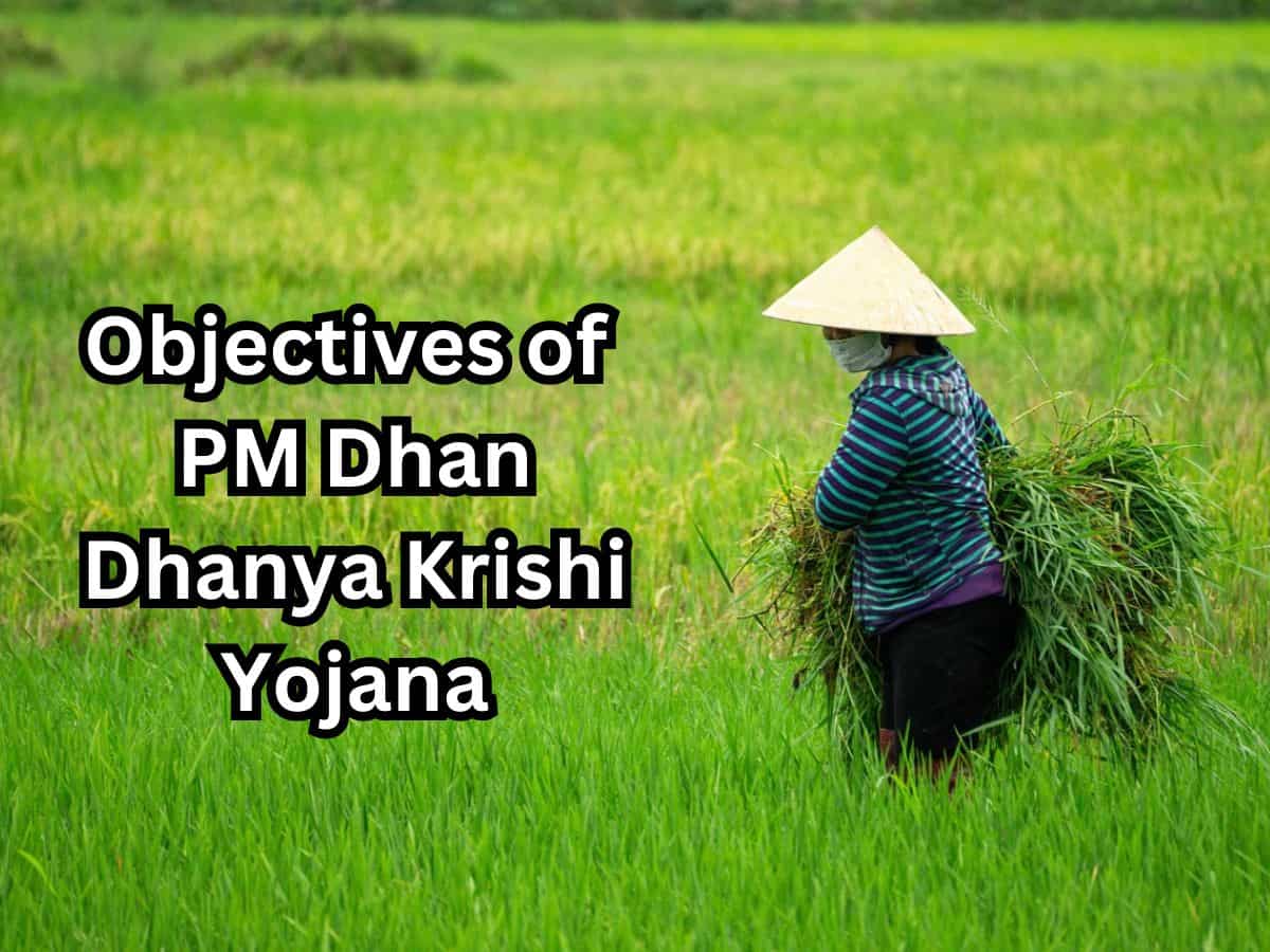 What are the objectives of PM Dhan Dhanya Krishi Yojana?