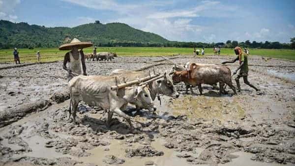  Ministry of Rural Development