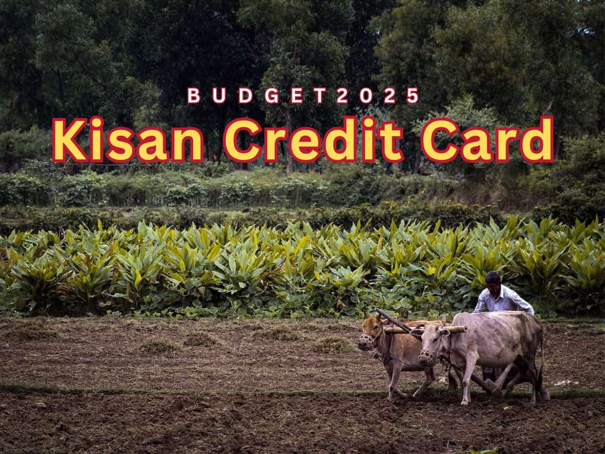 Budget 2025: What is Kisan Credit Card whose limit has been increased to Rs 5 lakh by FM Nirmala Sitharaman? Know its benefits and how to apply