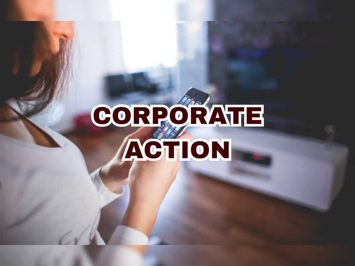 Dividend Stocks: Sun Pharma, Concor, IRB Infra to trade ex-date on Feb 6