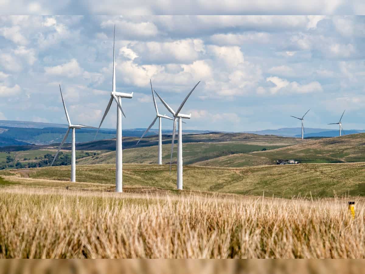 BluPine Energy, Amazon sign PPA for 99 MW renewable energy project