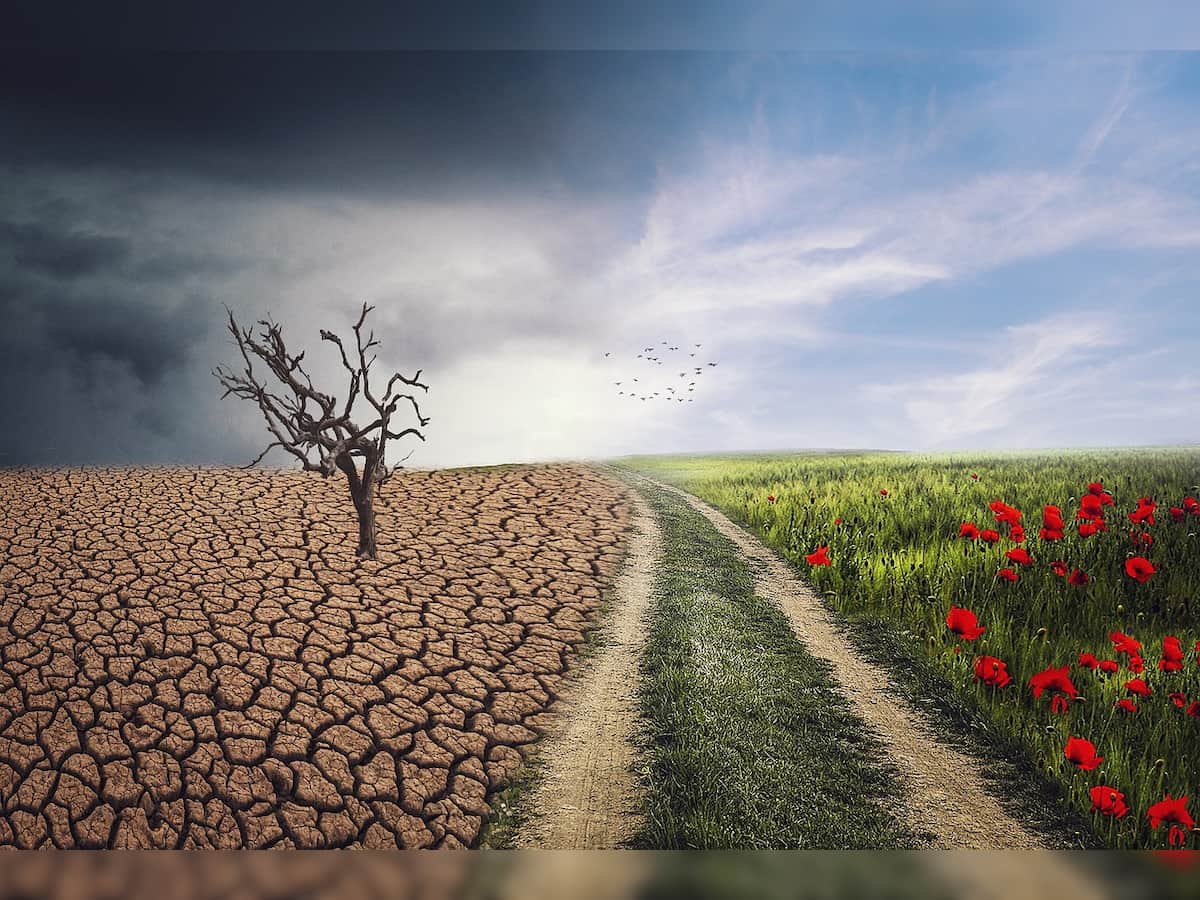 India has received USD 1.16 billion in climate finance so far: Government 