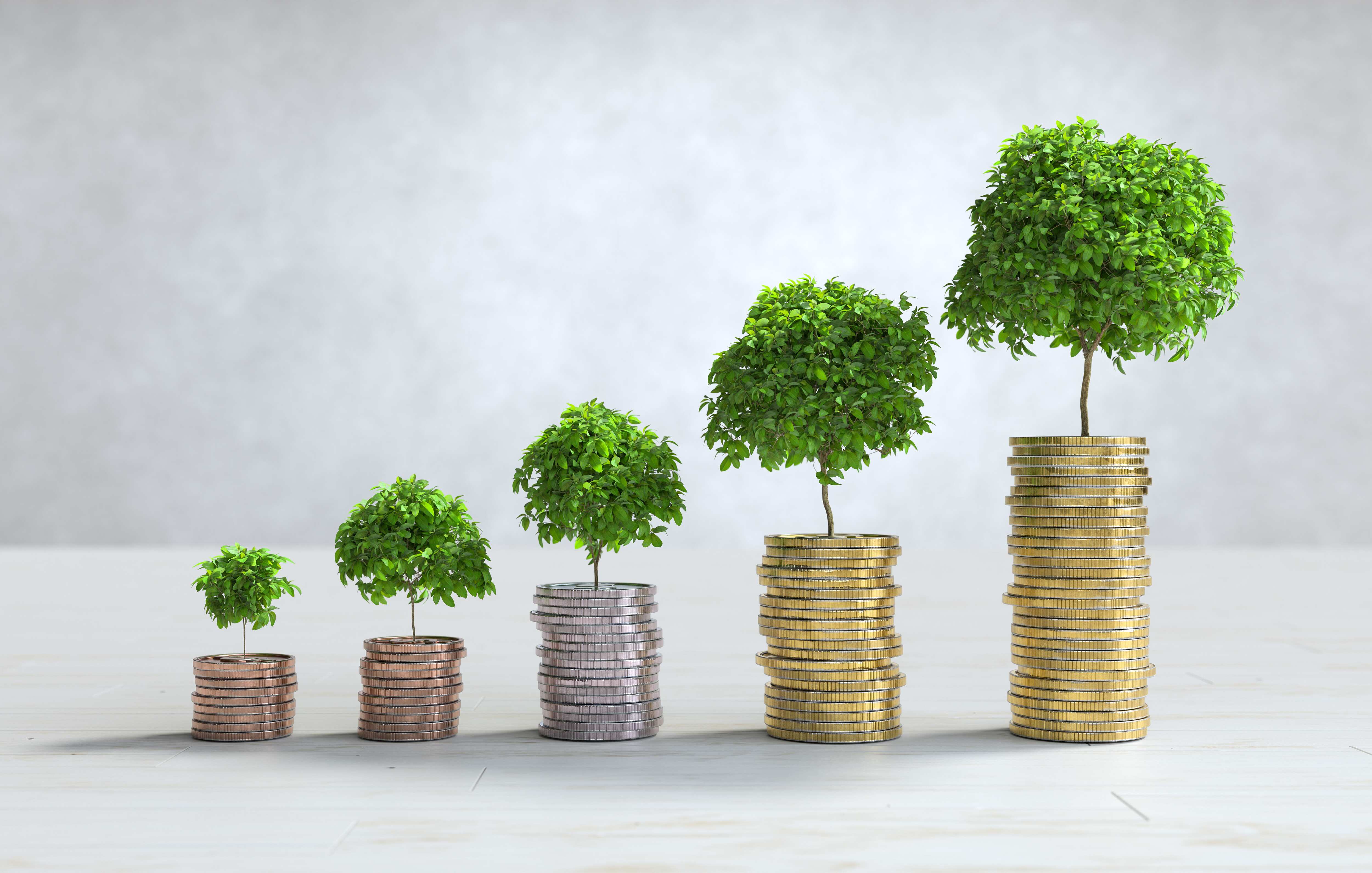 SBI 5-year FD: Maturity amount on Rs 2 lakh, Rs 2.5 lakh, and Rs 3 lakh investments  