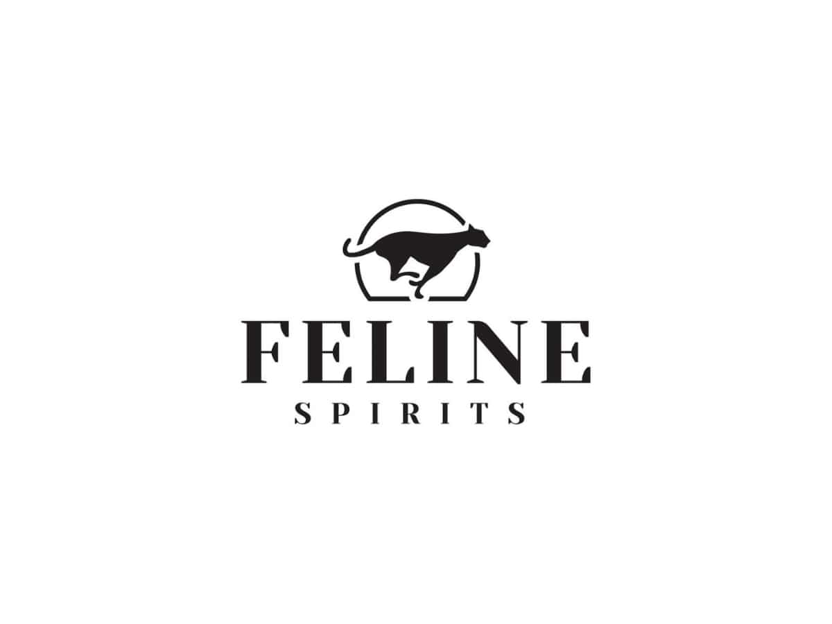 Feline Spirits: India’s fastest tech-driven alco-bev startup, backed by $3 million in funding