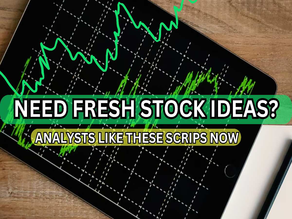 Stocks to Buy for Long Term: Largecap, midcap, smallcap shares that analysts are bullish on for long term; note down targets