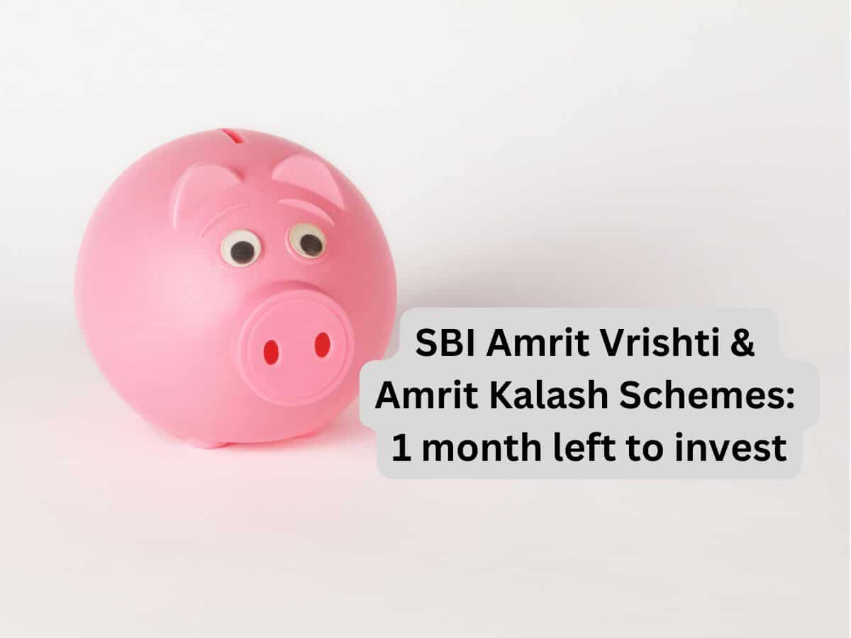 SBI Amrit Vrishti scheme