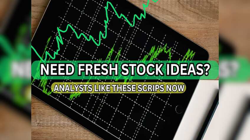 Stocks to Buy for Long Term: Smallcap, midcap & largecap shares that analysts are banking on; note down targets