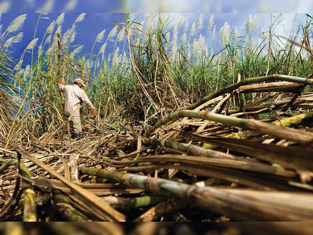 Government announces modified ethanol scheme to boost year-round production at cooperative sugar mills