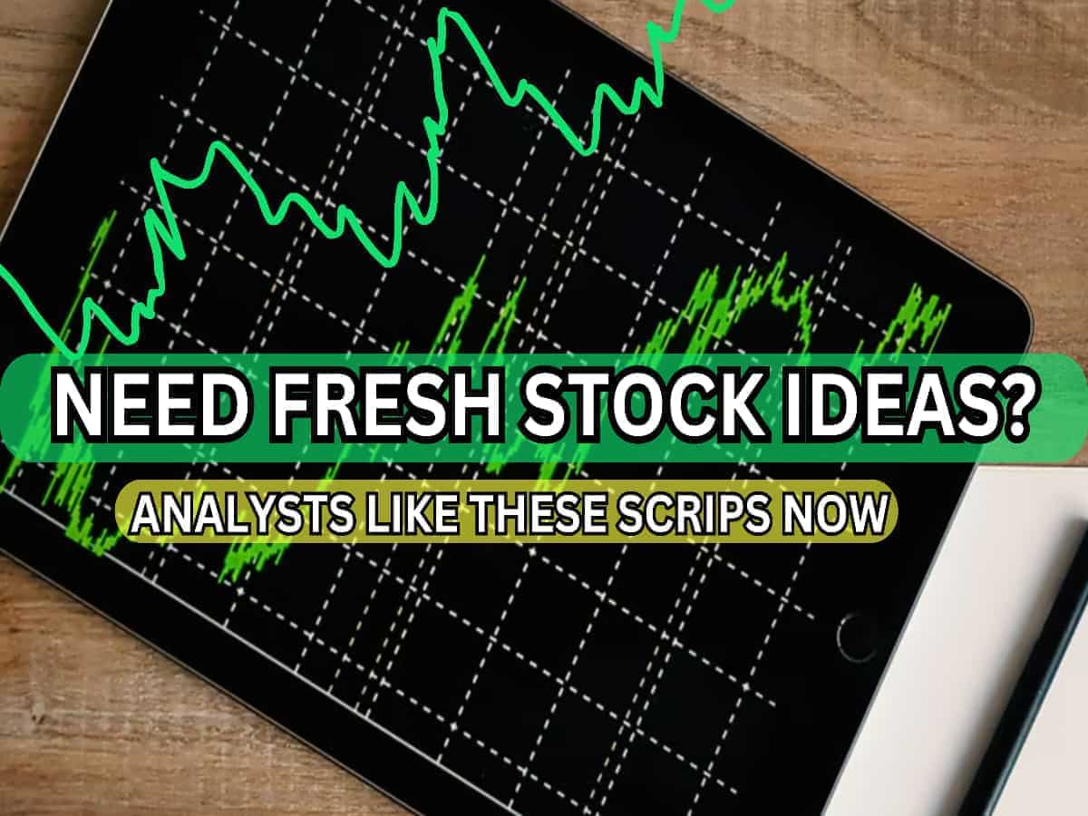 Need shares to buy for long term? 10 smallcap, midcap & largecap stocks that analysts are bullish on