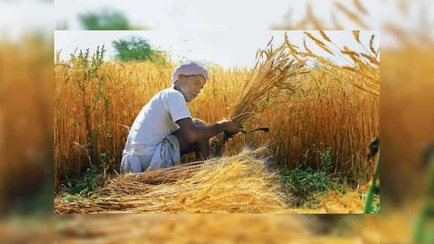 Cabinet approves wheat procurement in UP from March 17 to April 25