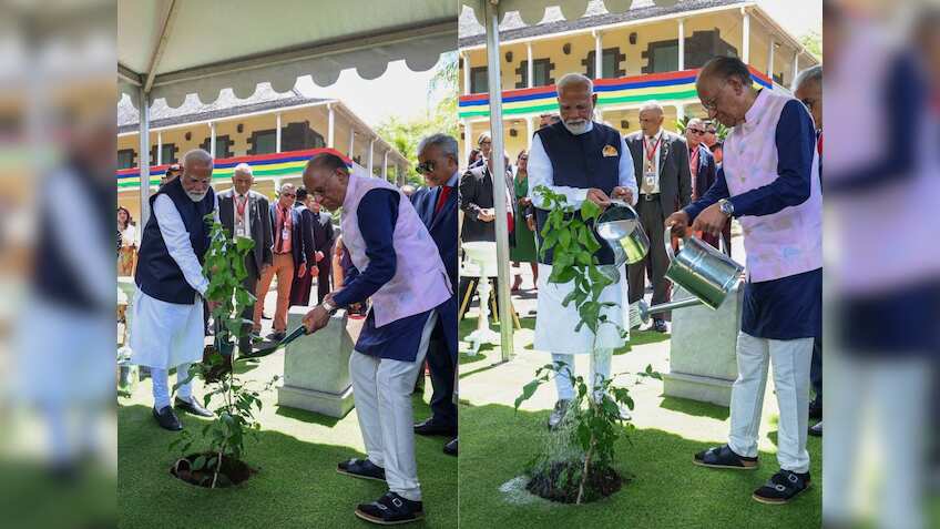 PM Modi expands 'Ek Ped Maa Ke Naam' initiative globally with tree plantation in Mauritius