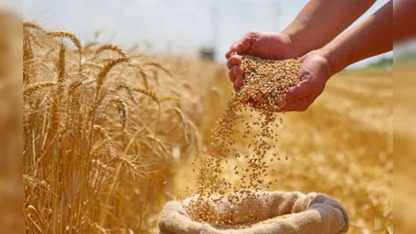Wheat procurement to begin in UP soon, MSP set at Rs 2,425 per quintal