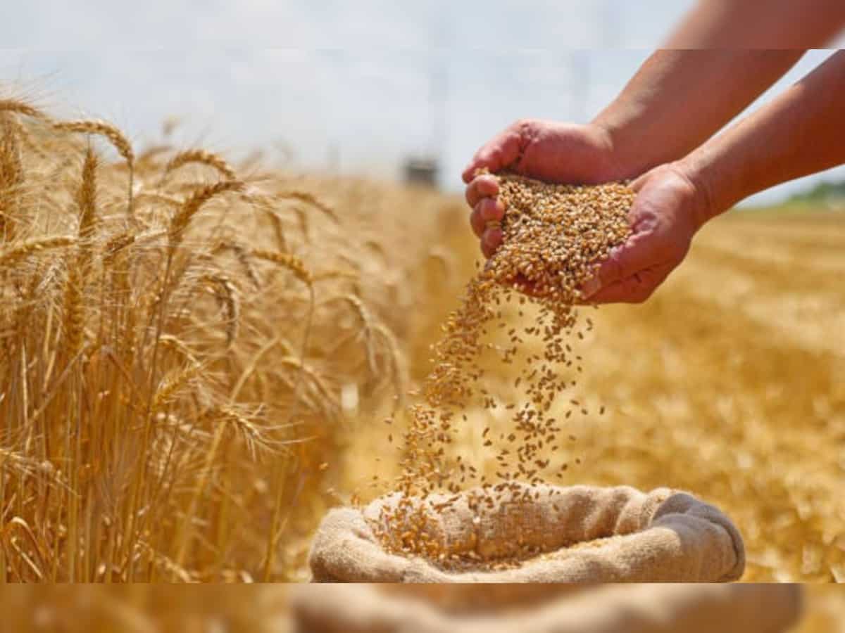 Wheat procurement to begin in UP soon, MSP