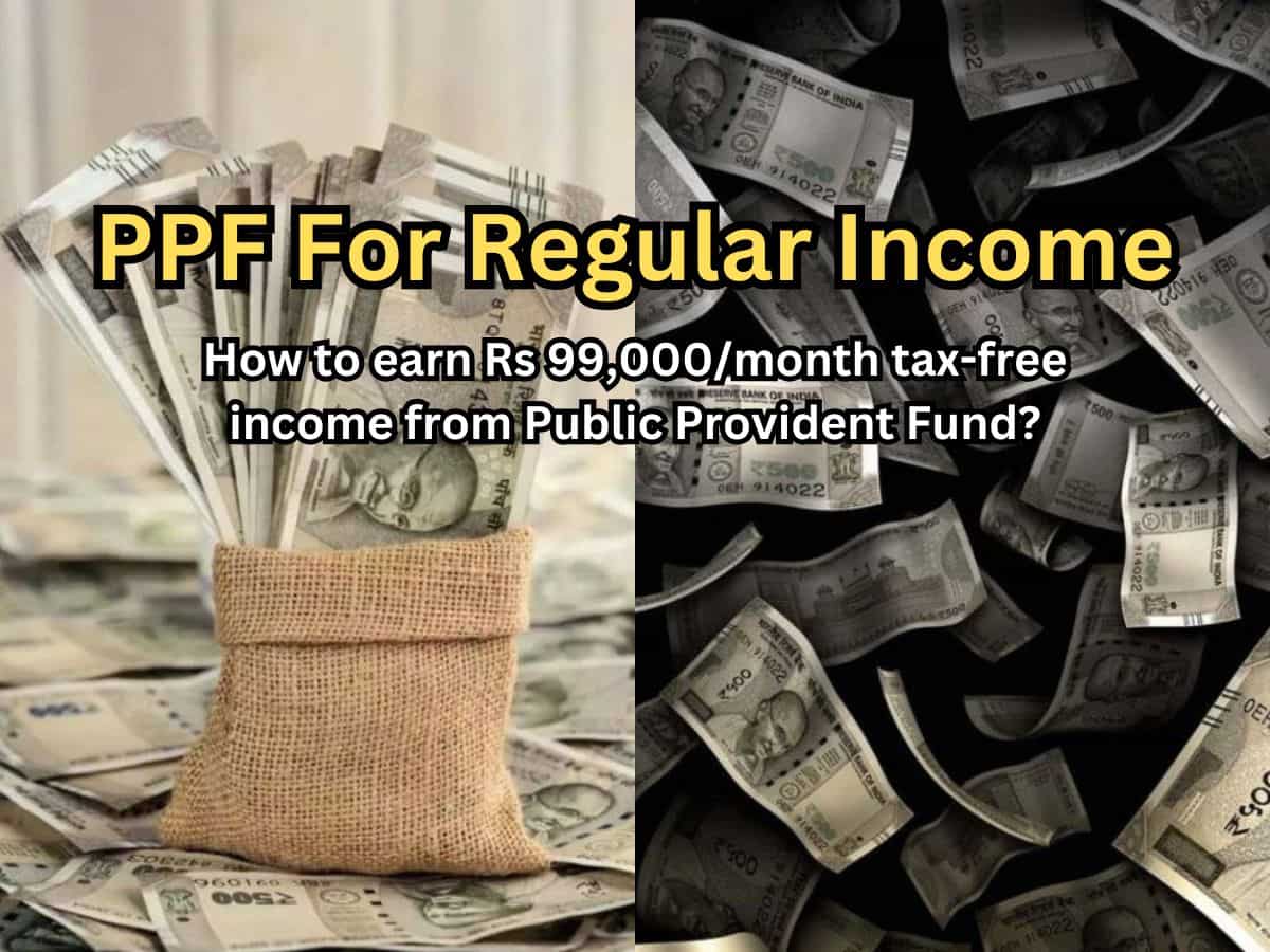 PPF For Regular Income: How can you generate