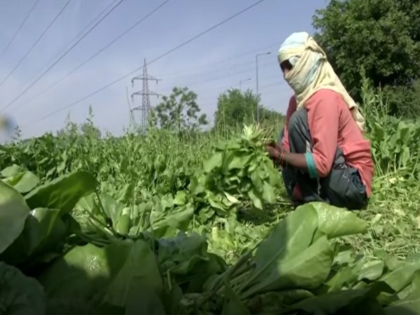 Centre reiterates commitment to farmers' welfare; next meeting on May 4