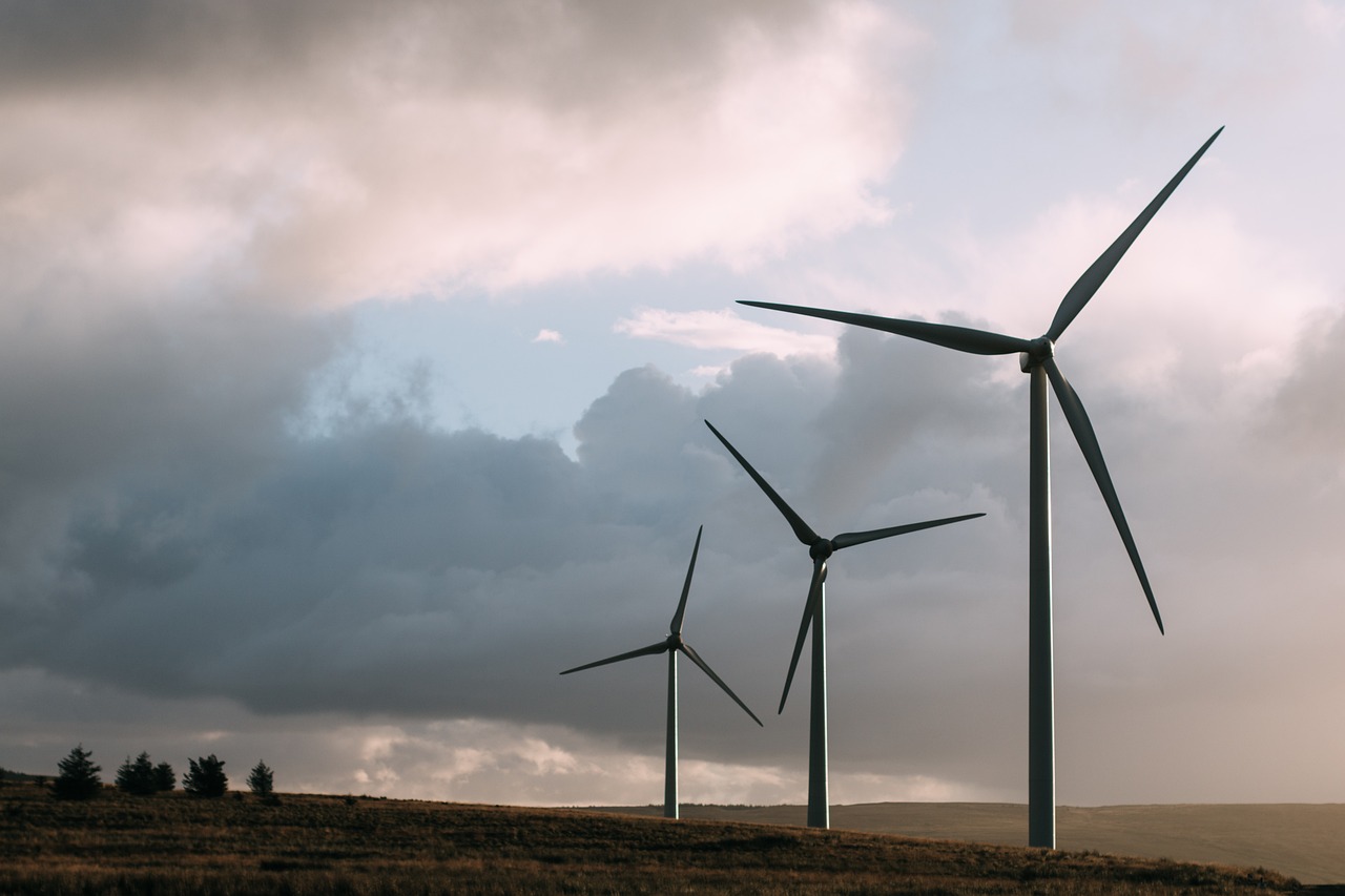India's energy efficiency above global average: RBI bulletin