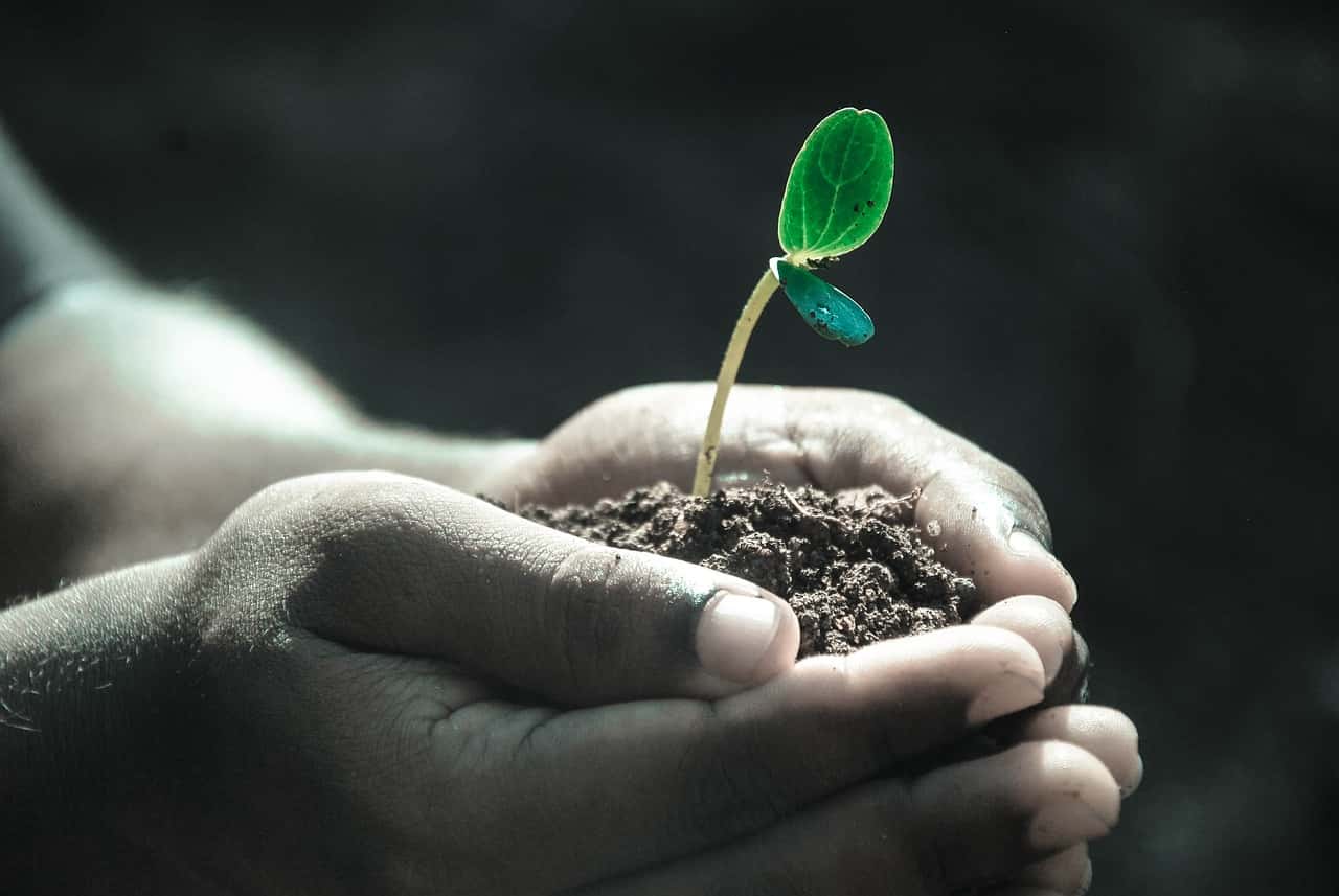 SIP Investment Calculation: How Much Corpus Will You Generate in 15 Years with Rs 95,000 Annually? SIP Investment Calculation: How Much Corpus Will You Generate in 15 Years with Rs 95,000 Annually?