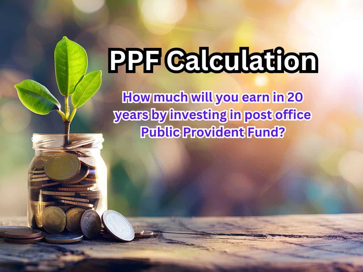 PPF Calculation: How much will you earn in