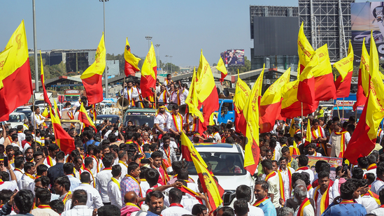 Karnataka Bandh Tomorrow: Schools, Namma Metro, BMTC, and KSRTC Buses—What will remain open, what closed on March 22?