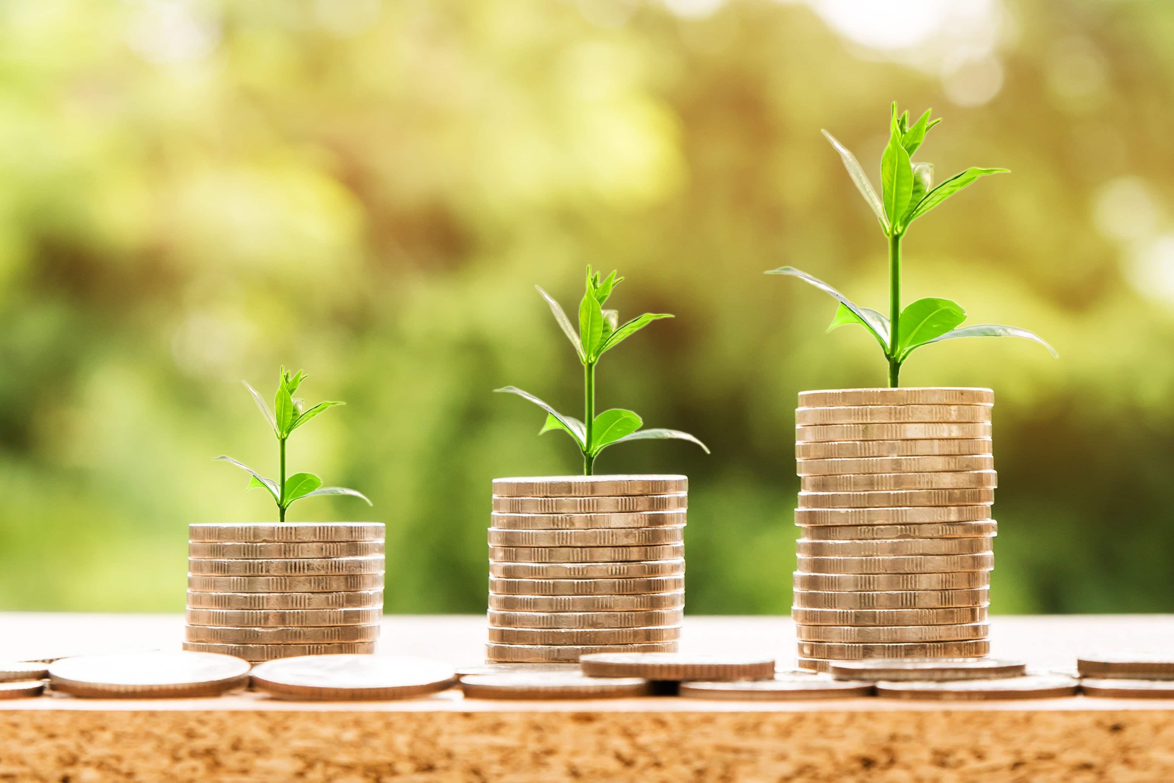 SBI Amrit Vrishti-444 day FD: Interest rate SBI Amrit Vrishti-444 day FD: Interest rate