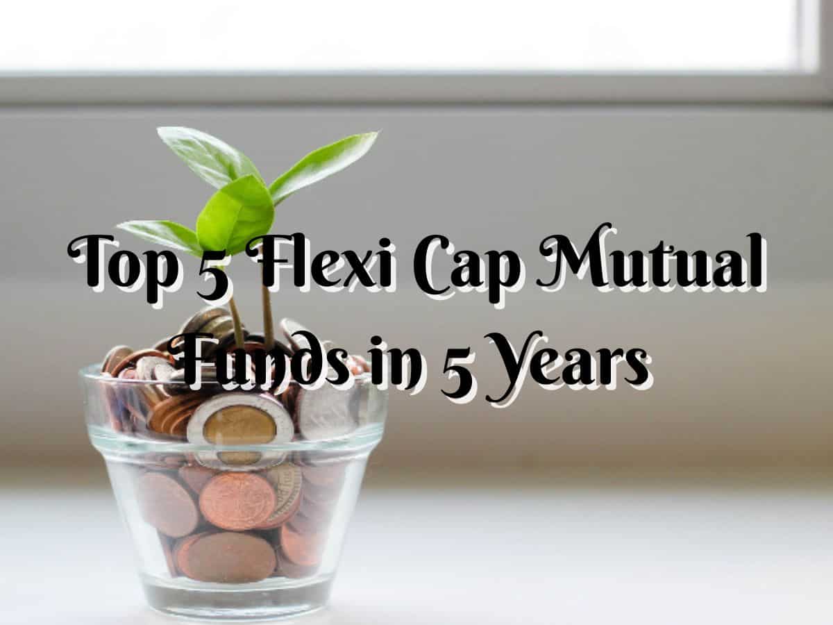 Top 5 Flexi Cap Mutual Funds With Best