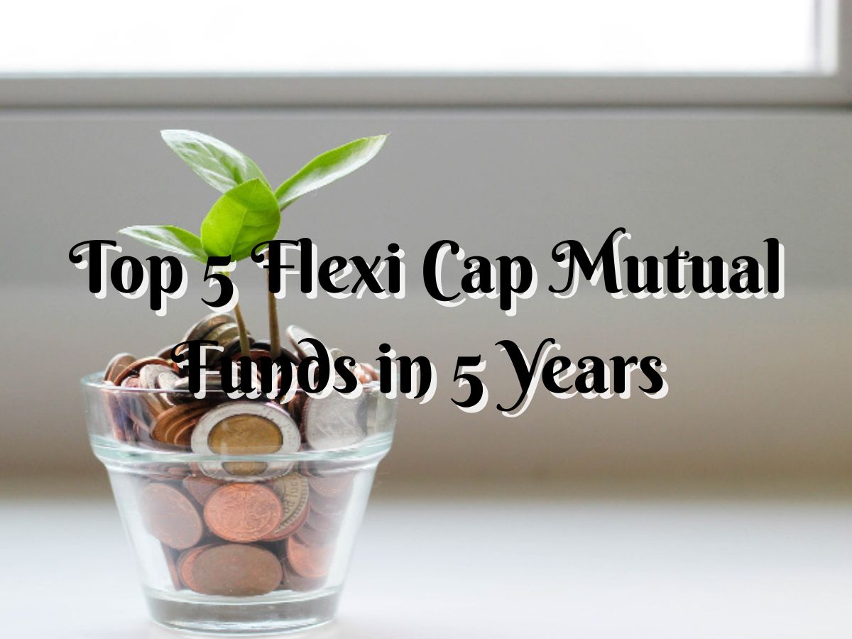 Top 5 Flexi Cap Mutual Funds With Best