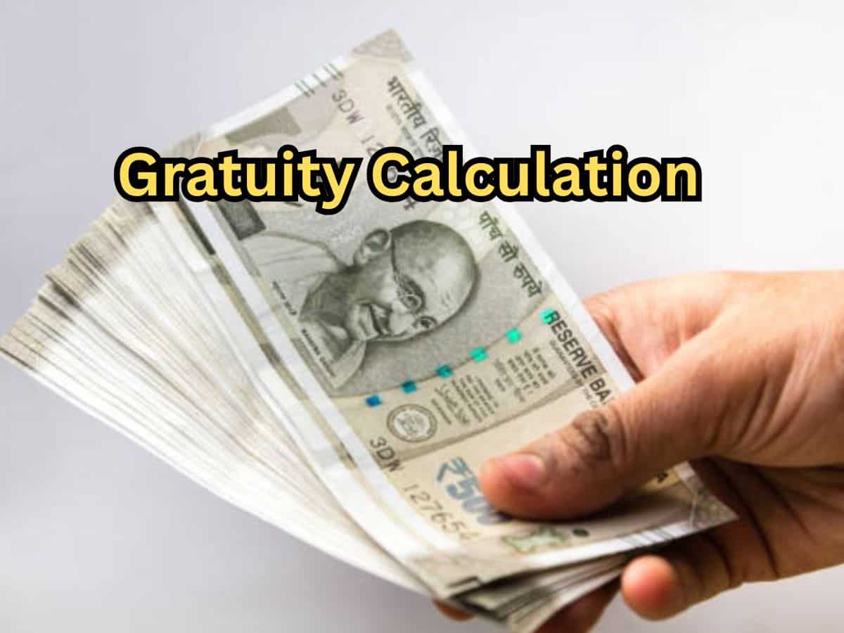 Gratuity Calculation: What will be your gratuity for Rs 65,000 last-drawn salary after 6 years and 7 months of service?