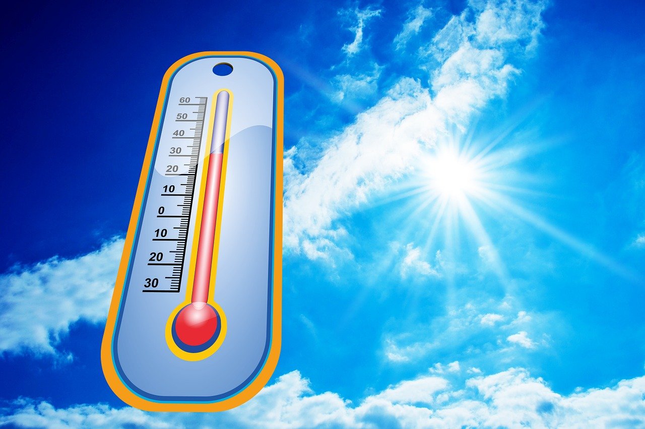 Weather News: Delhi records minimum temperature of 14.2 degrees Celsius; heat waves predicted in parts of Andhra Pradesh; pre-monsoon in Bihar & Chhattisgarh