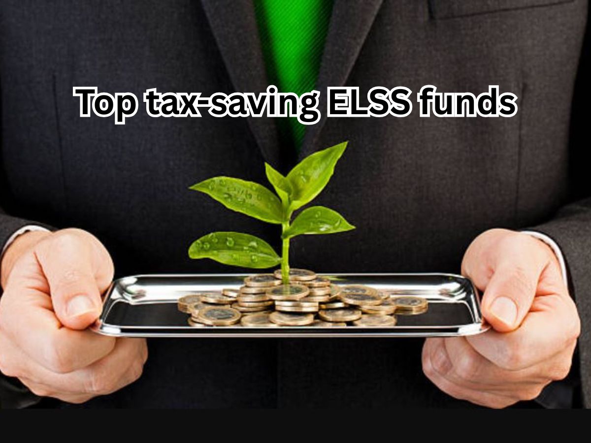 Top tax-saving ELSS funds: Rs 50,000 invested in these schemes has grown to at least Rs 1.96 lakh in 5 years