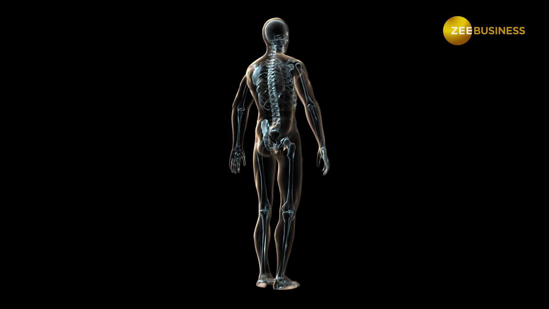 Indira Gandhi International Airport to start full-body scanner trials soon—10 things to know | Delhi