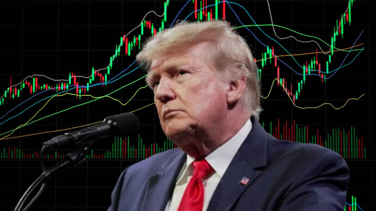 Sector surge powers D-Street comeback; Pharma, Metals & IT lead the charge as Trump hits pause on tariffs