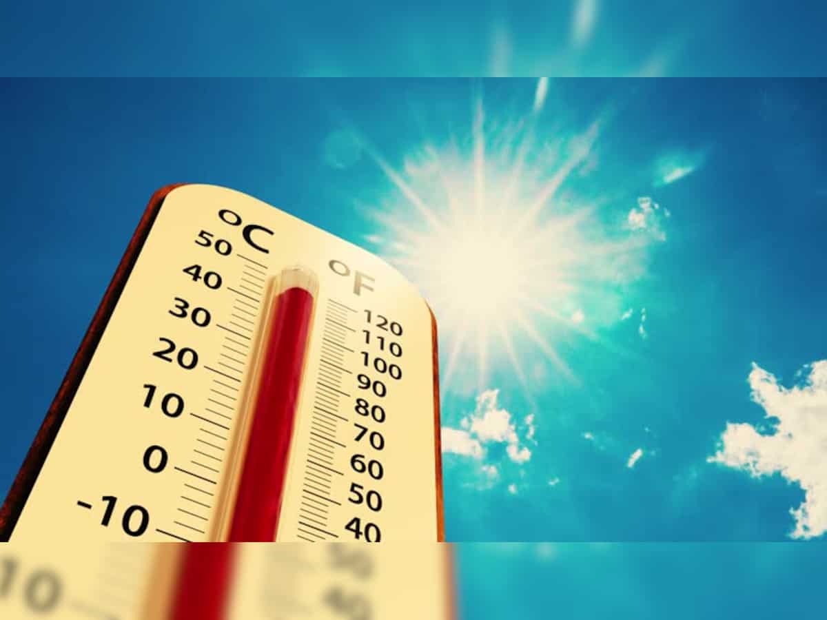 Delhi weather news temperature settles at 20.2 degrees