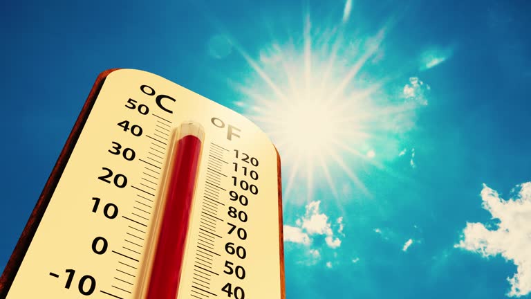Delhi weather news temperature settles at 20.2 degrees