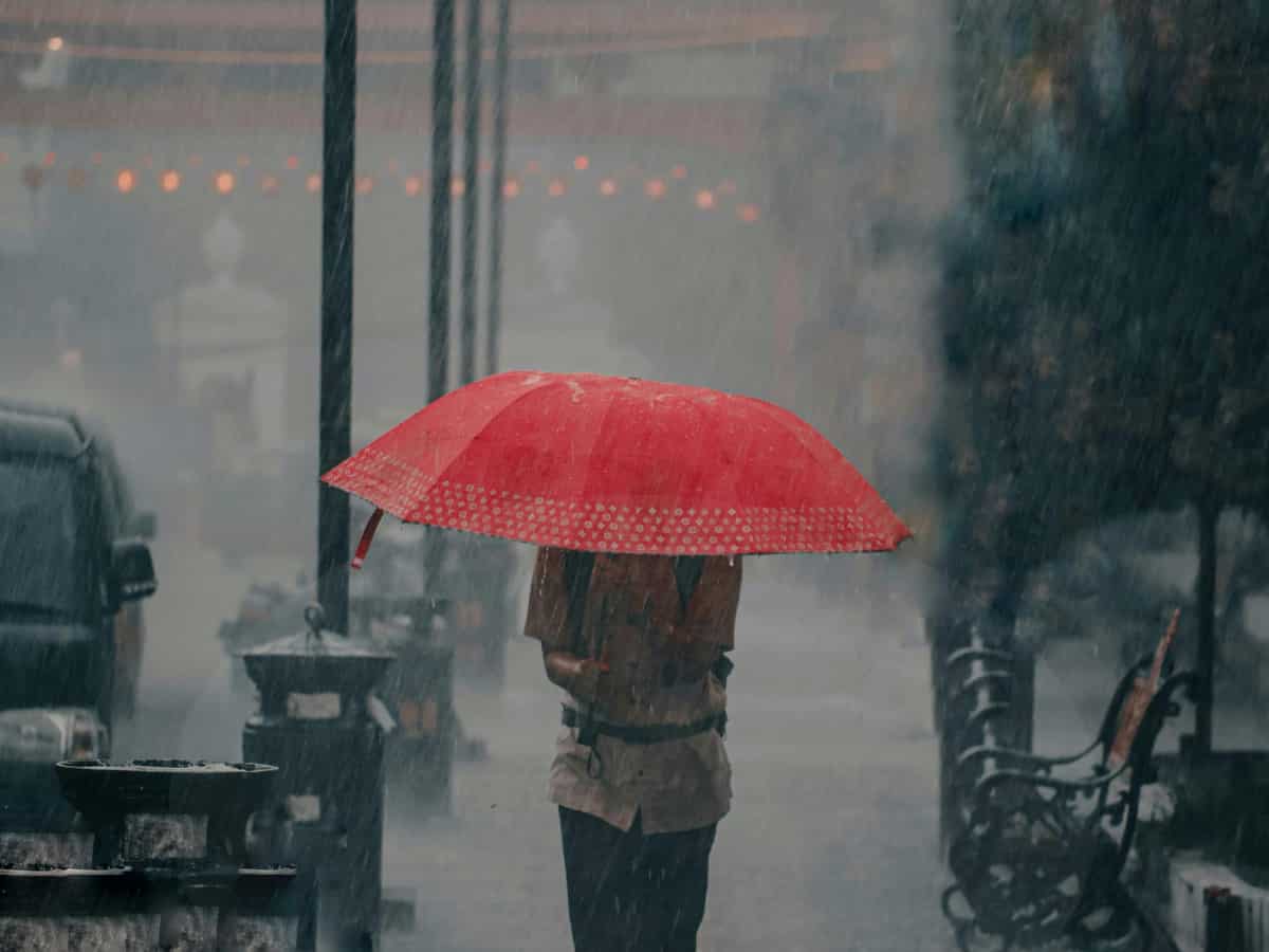 IMD forecasts above-average monsoon rains in 2025, pegs