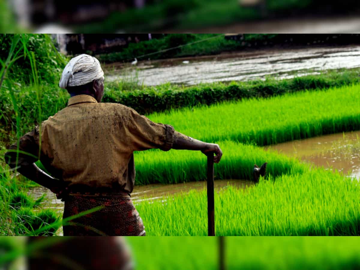 6,000 agri-startups not enough, need more: VP Dhankhar