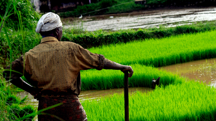 6,000 agri-startups not enough, need more: VP Dhankhar