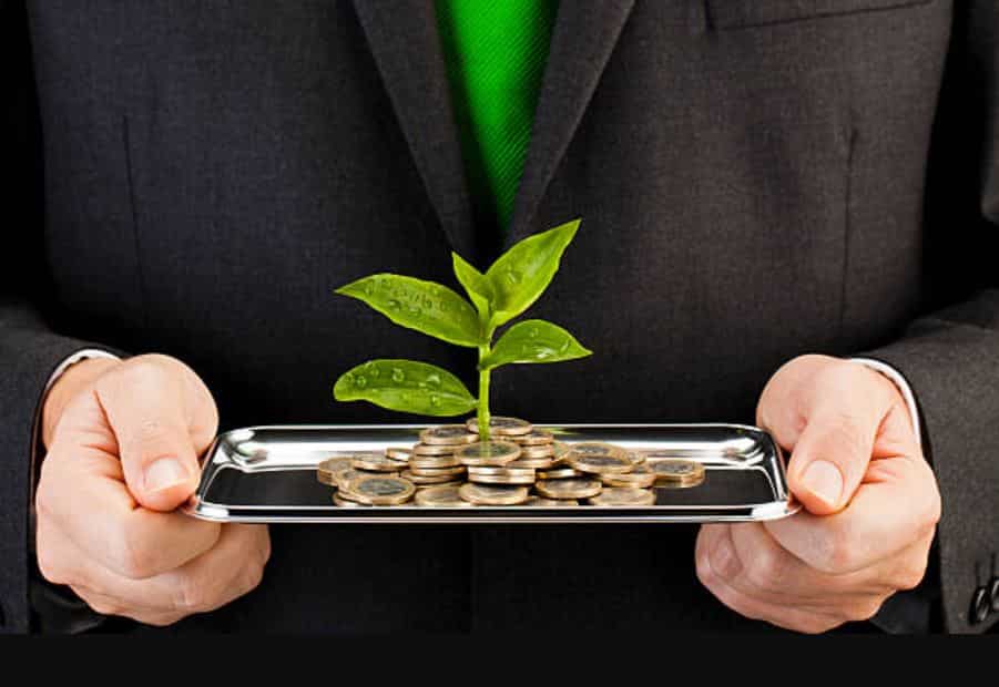 Nippon India Small Cap Fund