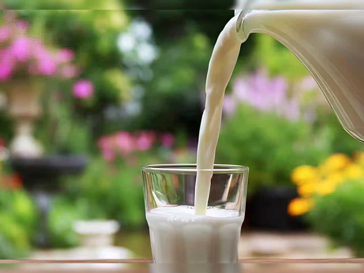  Mother Dairy raises milk prices by up